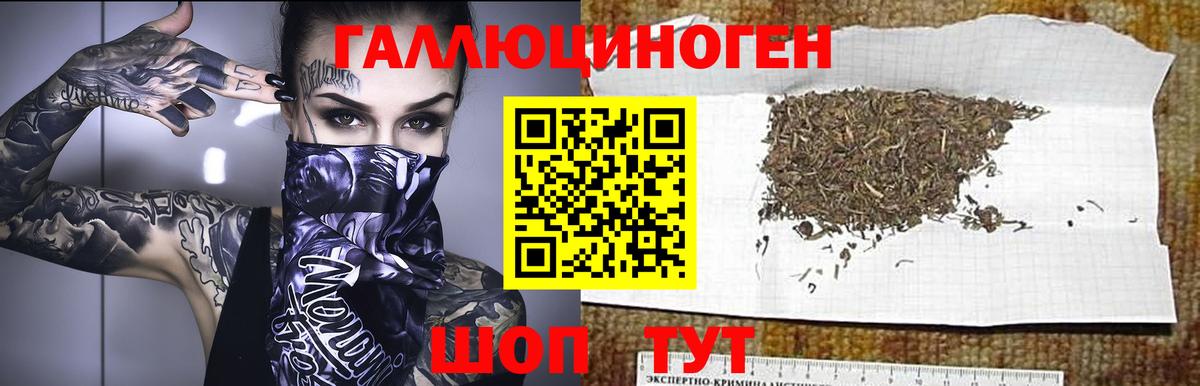 Татарск  Галлюциногенные грибы Psilocybe  Вход с VPN  Галлюциногенные грибы GOLDEN TEACHER 